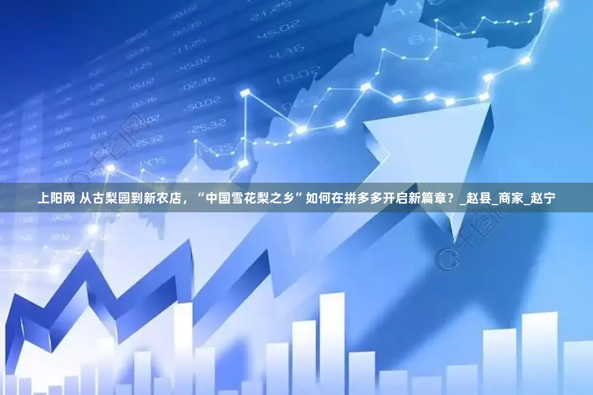 上阳网 从古梨园到新农店，“中国雪花梨之乡”如何在拼多多开启新篇章？_赵县_商家_赵宁