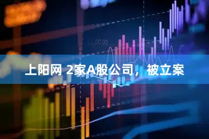 上阳网 2家A股公司，被立案