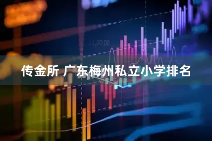 传金所 广东梅州私立小学排名