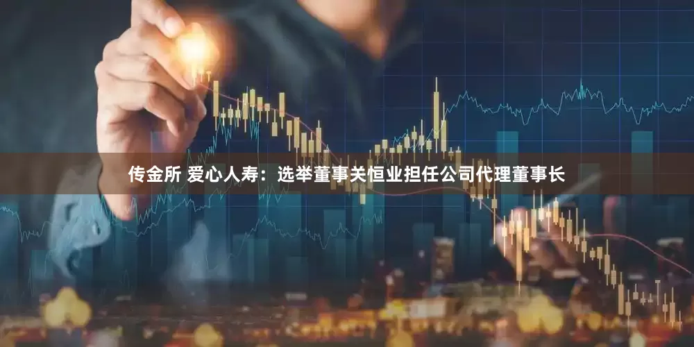 传金所 爱心人寿：选举董事关恒业担任公司代理董事长